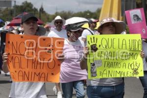 MARCHA POR LOS DERECHOS DE LOS ANIMALES