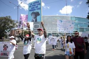 MARCHA POR LOS DERECHOS DE LOS ANIMALES