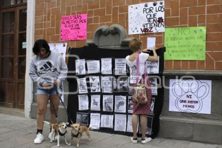 TLAXCALA . MANIFESTACIÓN MALTRATO ANIMAL