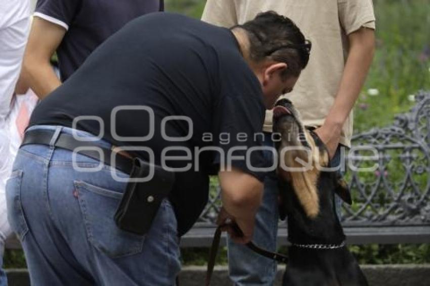 TLAXCALA . MANIFESTACIÓN MALTRATO ANIMAL