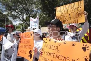 MARCHA POR LOS DERECHOS DE LOS ANIMALES