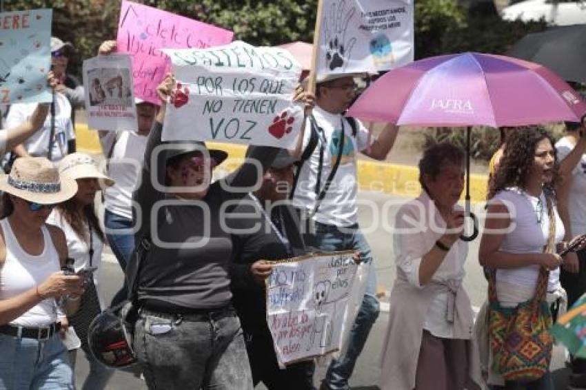 MARCHA POR LOS DERECHOS DE LOS ANIMALES