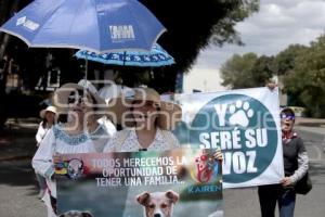 MARCHA POR LOS DERECHOS DE LOS ANIMALES