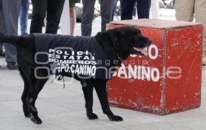 SAN ANDRÉS CHOLULA . JORNADA PREVENCIÓN