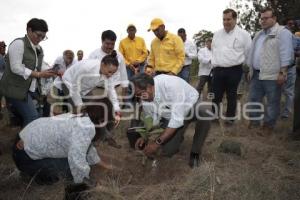 GOBIERNO ESTATAL . DÍA MUNDIAL DEL ÁRBOL