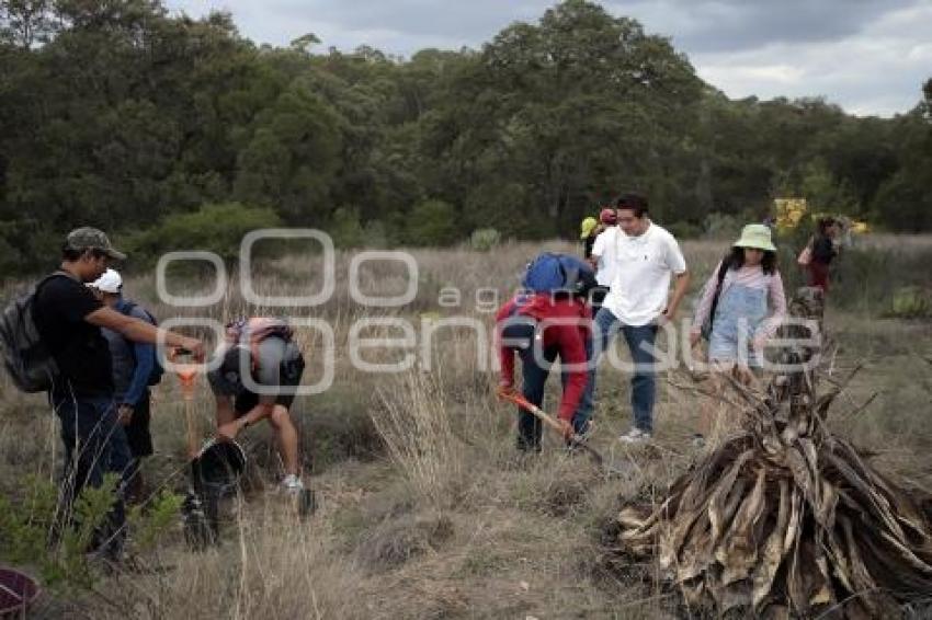 GOBIERNO ESTATAL . DÍA MUNDIAL DEL ÁRBOL