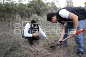 GOBIERNO ESTATAL . DÍA MUNDIAL DEL ÁRBOL