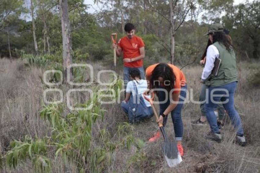 GOBIERNO ESTATAL . DÍA MUNDIAL DEL ÁRBOL