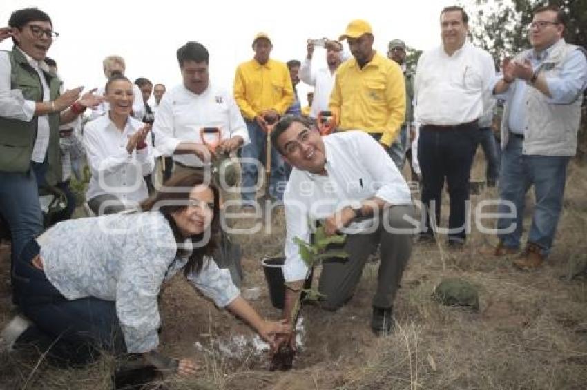 GOBIERNO ESTATAL . DÍA MUNDIAL DEL ÁRBOL