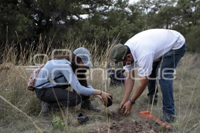 GOBIERNO ESTATAL . DÍA MUNDIAL DEL ÁRBOL