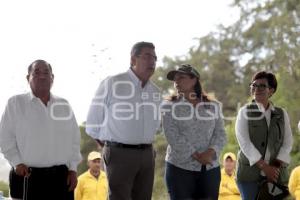 GOBIERNO ESTATAL . DÍA MUNDIAL DEL ÁRBOL