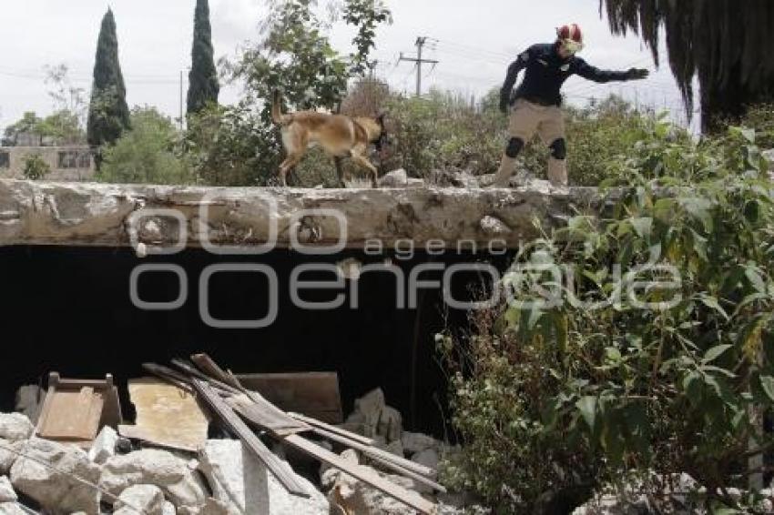 PROTECCIÓN CIVIL . RESCATE CANINO