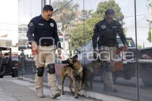 PROTECCIÓN CIVIL . RESCATE CANINO