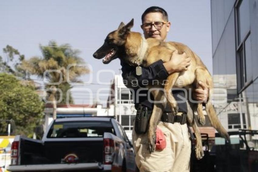 PROTECCIÓN CIVIL . RESCATE CANINO