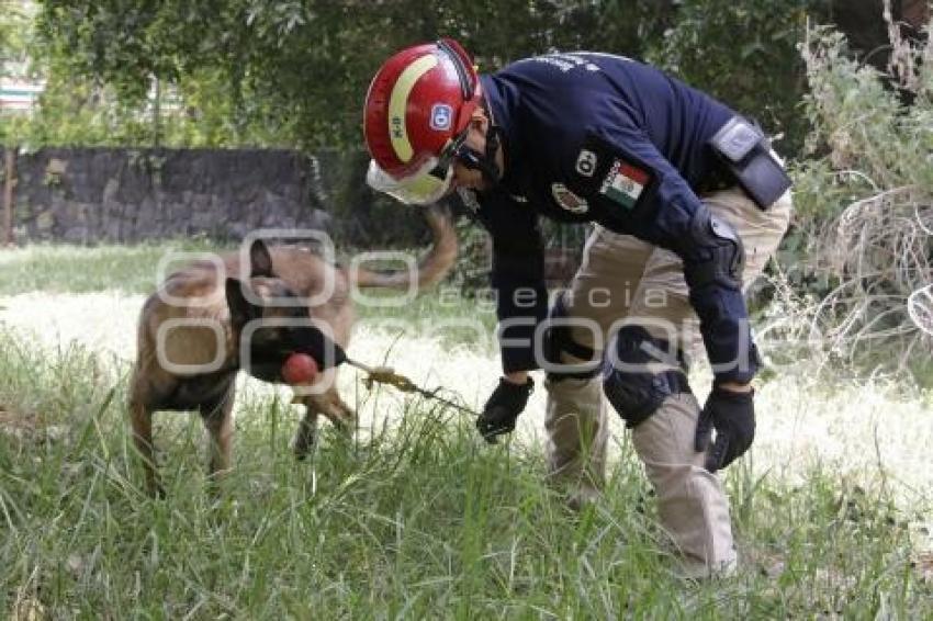 PROTECCIÓN CIVIL . RESCATE CANINO