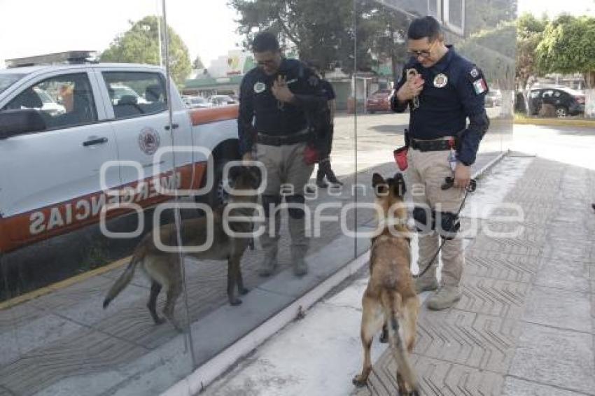 PROTECCIÓN CIVIL . RESCATE CANINO