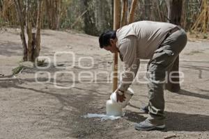 AFRICAM SAFARI