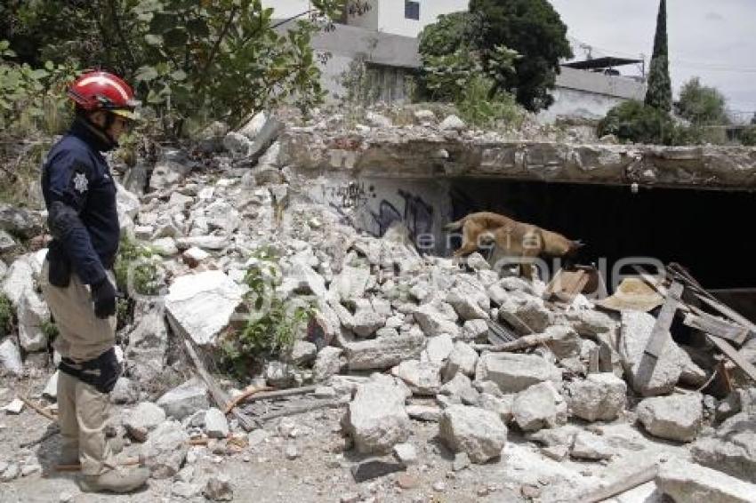 PROTECCIÓN CIVIL . RESCATE CANINO