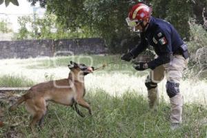 PROTECCIÓN CIVIL . RESCATE CANINO