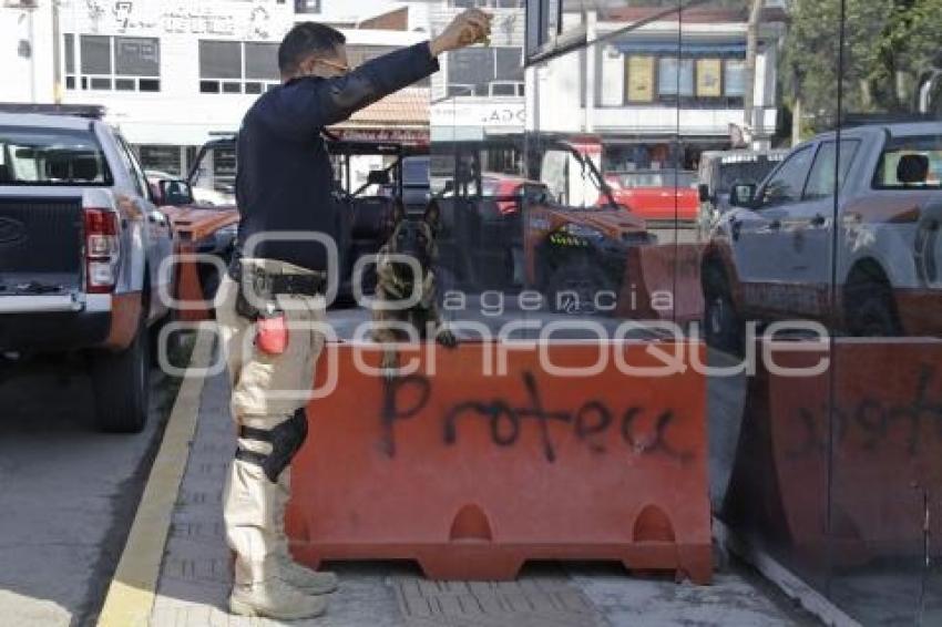 PROTECCIÓN CIVIL . RESCATE CANINO