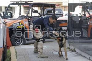 PROTECCIÓN CIVIL . RESCATE CANINO