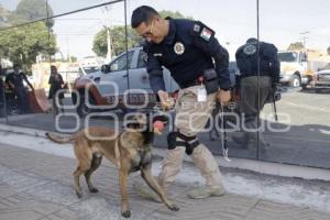 PROTECCIÓN CIVIL . RESCATE CANINO