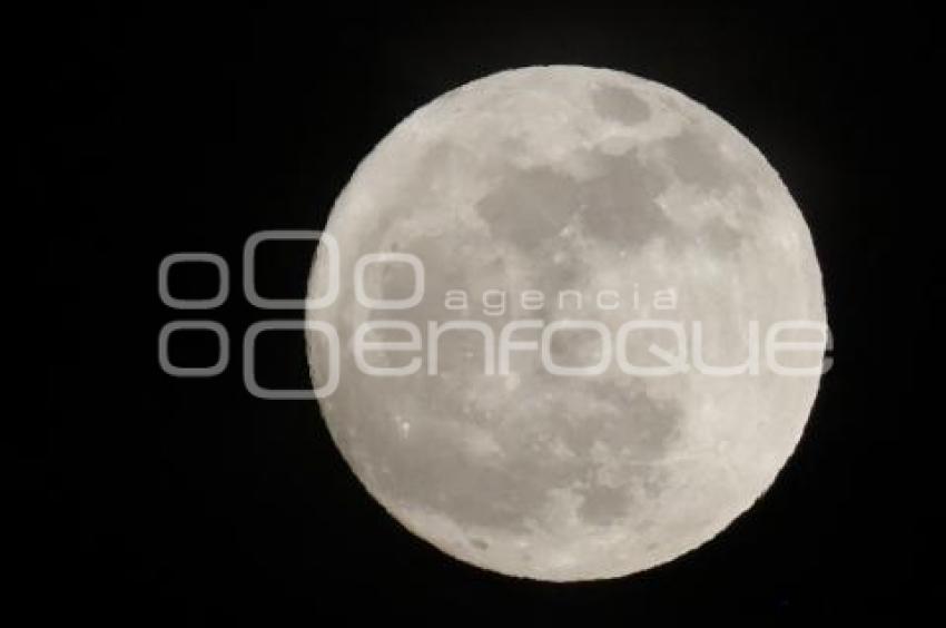 LUNA DE CIERVO