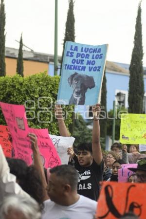 TLAXCALA . MALTRATO ANIMAL