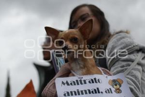 TLAXCALA . MALTRATO ANIMAL