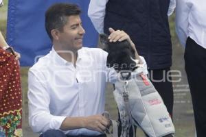 AYUNTAMIENTO . CONTIGO Y TUS PERRITOS