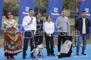 AYUNTAMIENTO . CONTIGO Y TUS PERRITOS