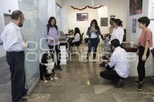 DIF MUNICIPAL . PERROS DE TERAPIA