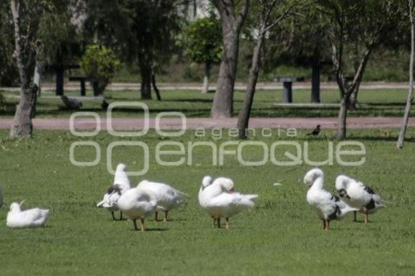 PARQUE DEL ARTE