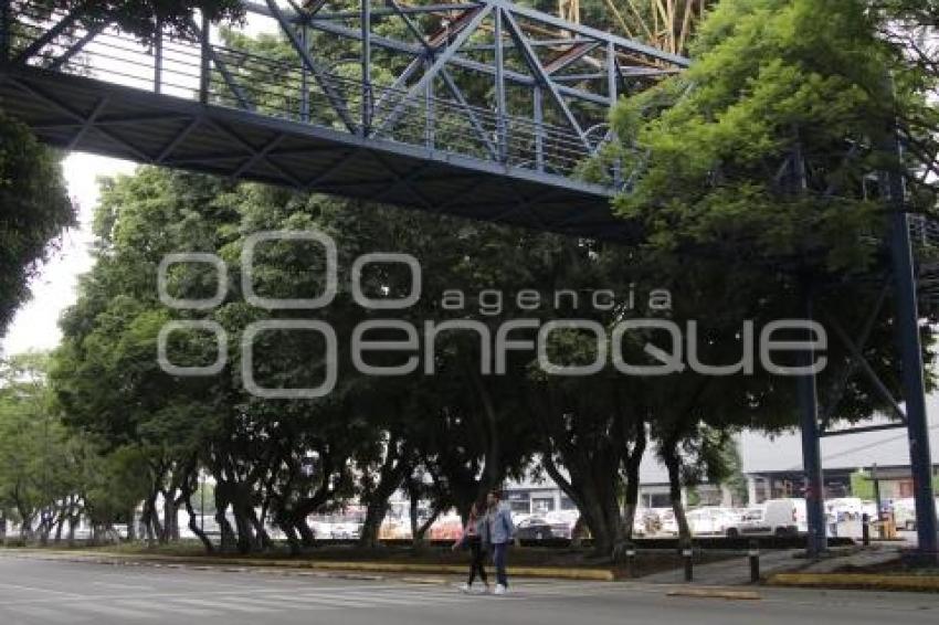 PUENTE PEATONAL . BULEVAR 5 DE MAYO