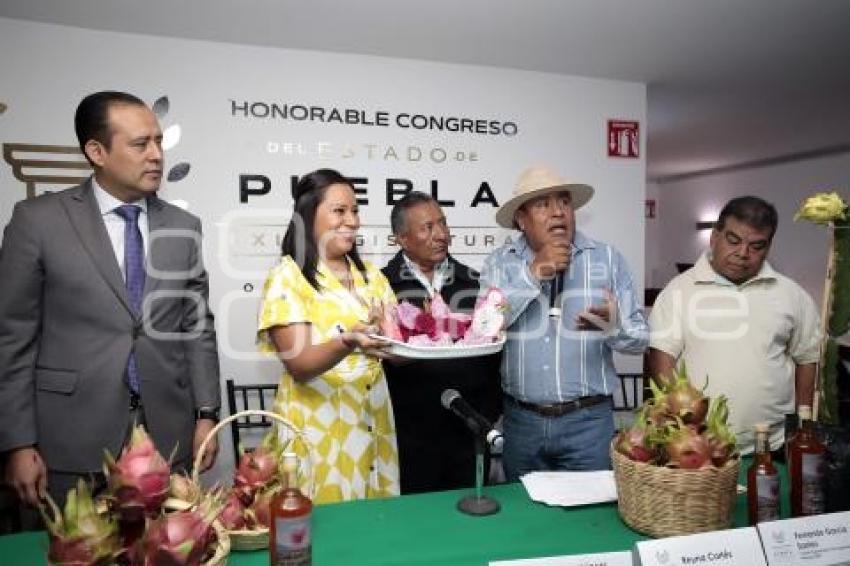 FERIA PITAHAYA 2023