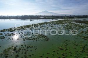 TLAXCALA . LAGUNA ACUITLAPILCO