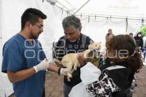 TLAXCALA . ESTERILIZACIÓN MASCOTAS