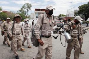 SALUD . ACCIONES CONTRA DENGUE