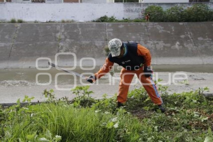 AYUNTAMIENTO . LIMPIEZA EN BARRANCAS