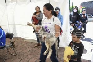 TLAXCALA . ESTERILIZACIÓN MASCOTAS