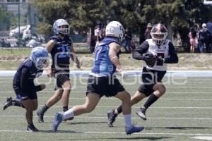 FÚTBOL AMERICANO . LOBOS VS LEONES