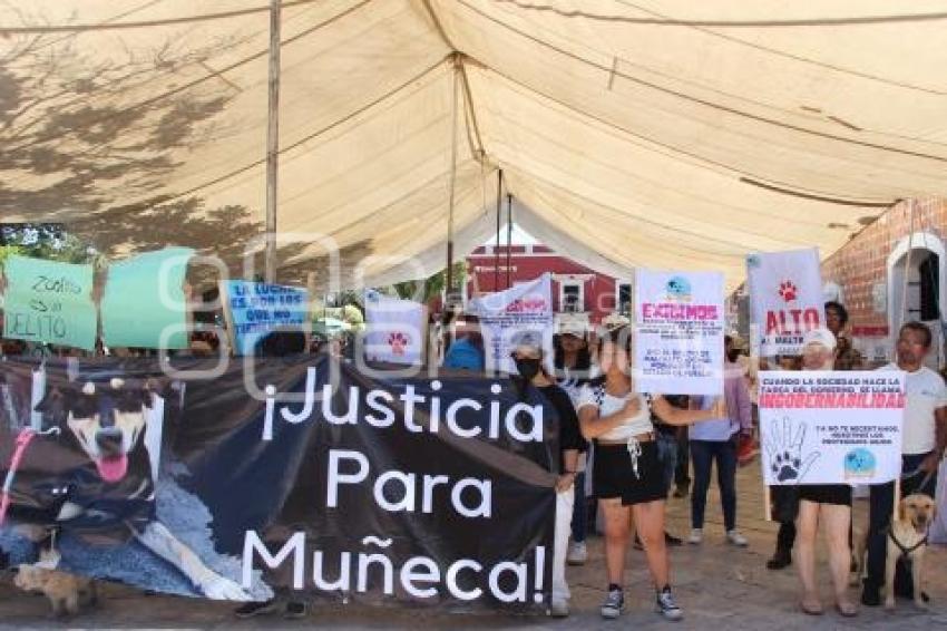 ATLIXCO . MANIFESTACIÓN MALTRATO ANIMAL