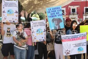 ATLIXCO . MANIFESTACIÓN MALTRATO ANIMAL