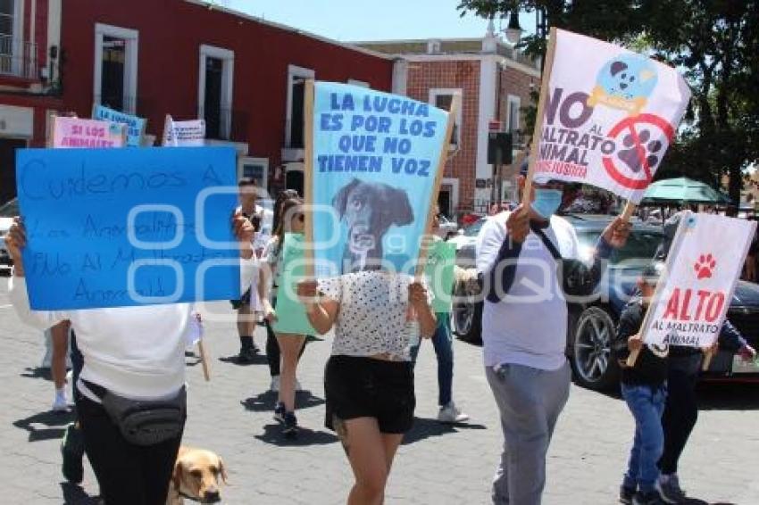 ATLIXCO . MANIFESTACIÓN MALTRATO ANIMAL