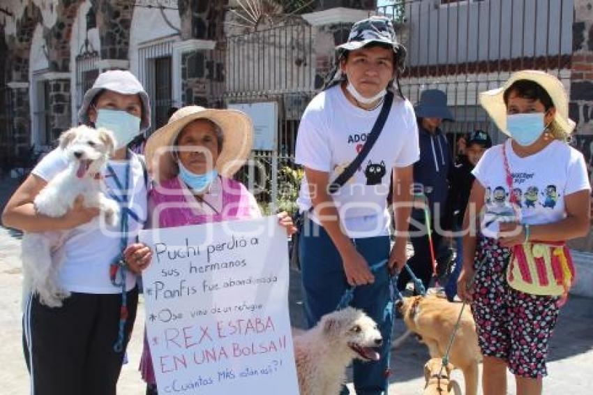 ATLIXCO . MANIFESTACIÓN MALTRATO ANIMAL