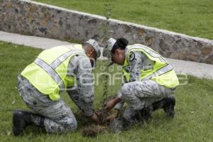 GUARDIA NACIONAL . REFORESTACIÓN