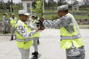 GUARDIA NACIONAL . REFORESTACIÓN