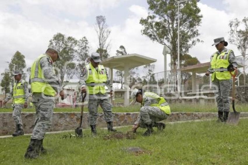 GUARDIA NACIONAL . REFORESTACIÓN