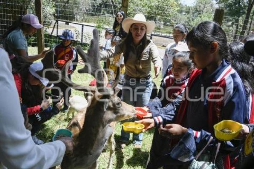 TLAXCALA . ZOOLÓGICO