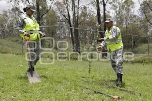 GUARDIA NACIONAL . REFORESTACIÓN